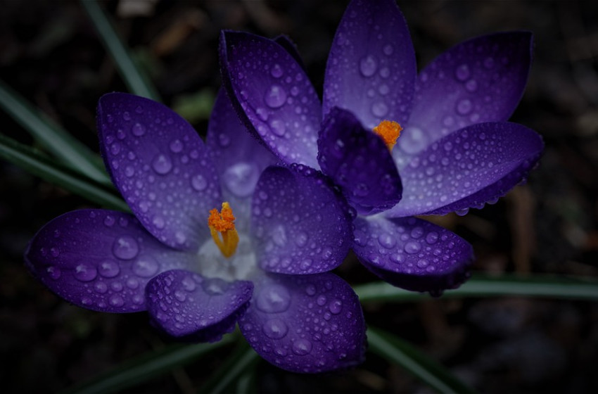 Gyökeresen megváltozik az időjárás a hétvégén