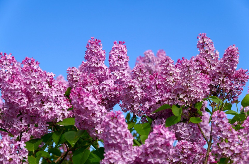Kedden még marad a nyárias idő, szerdán hidegfront hoz változást