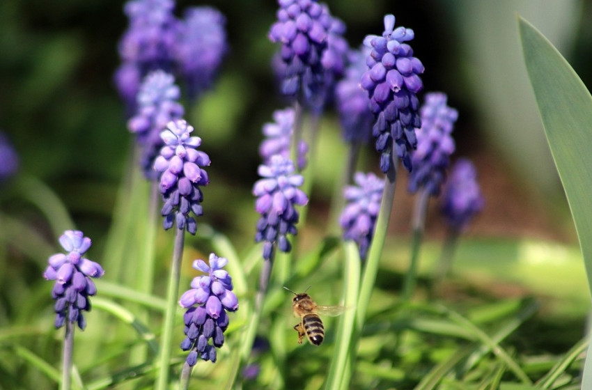 Hidegfront, majd újra nyárias meleg - így alakul az időjárás 