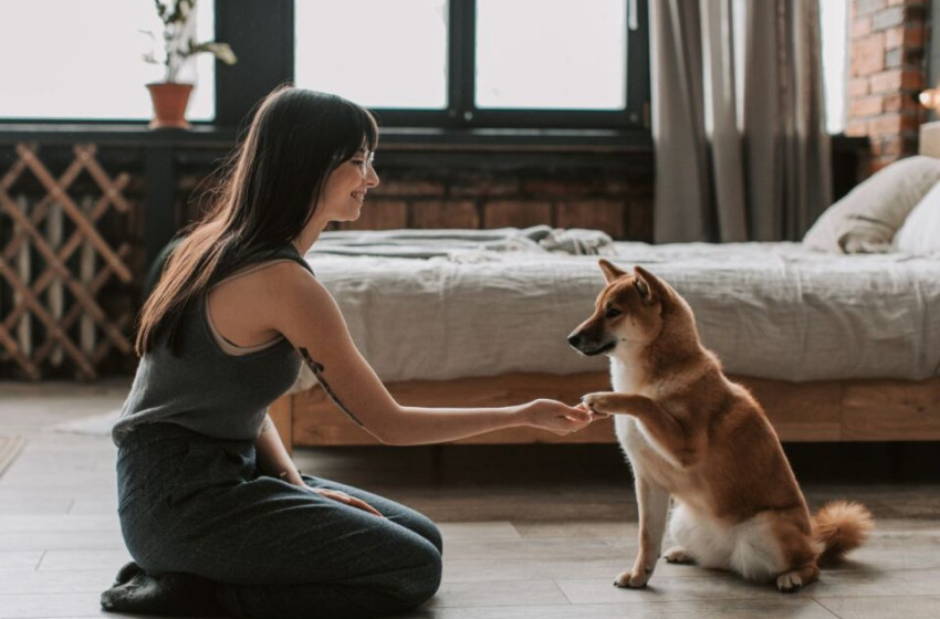 Kiderült, valójában ezért teszik ránk a kutyák a mancsukat
