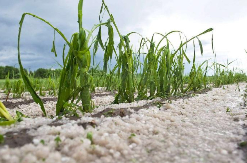 Hetedik szezonját kezdte meg a jégkármérséklő rendszer