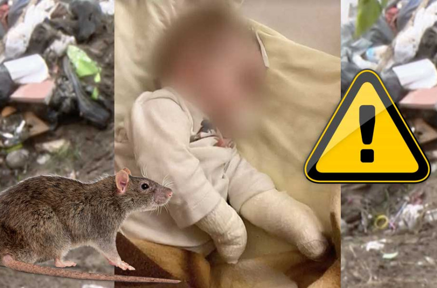 Az ágyában harapdálta össze a csecsemőt a patkány