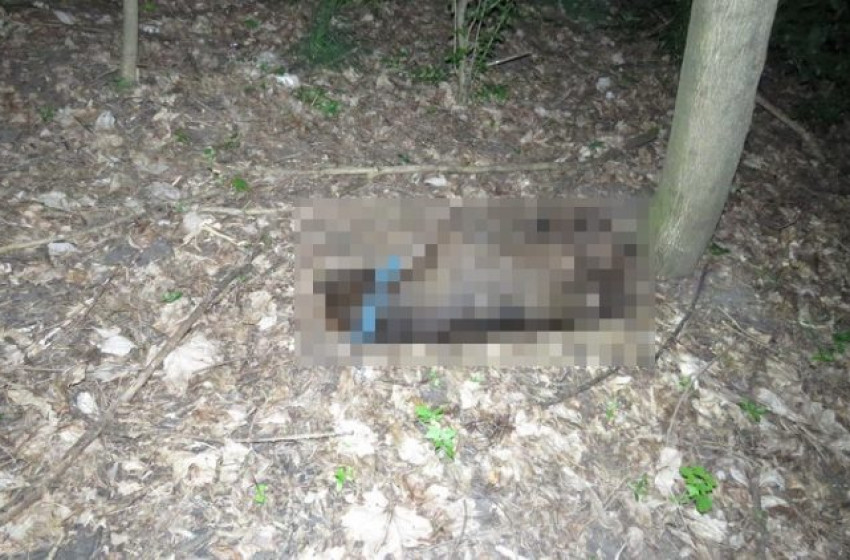 Felakasztotta egy fára a kutyáját, mert már nem kellett neki