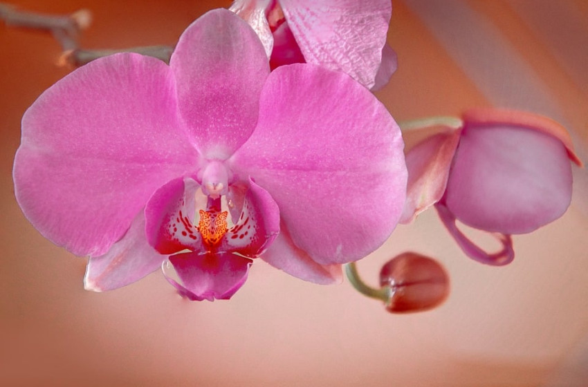 Sok napsütés jön, de marad a hideg csütörtökön