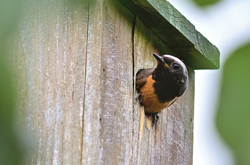 Folytatódik a tavasz