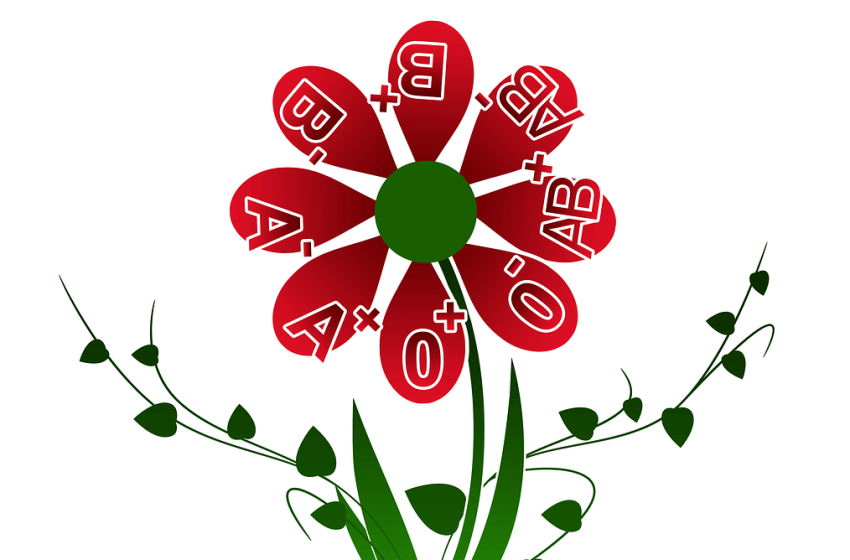 Adj vért Rábapordány