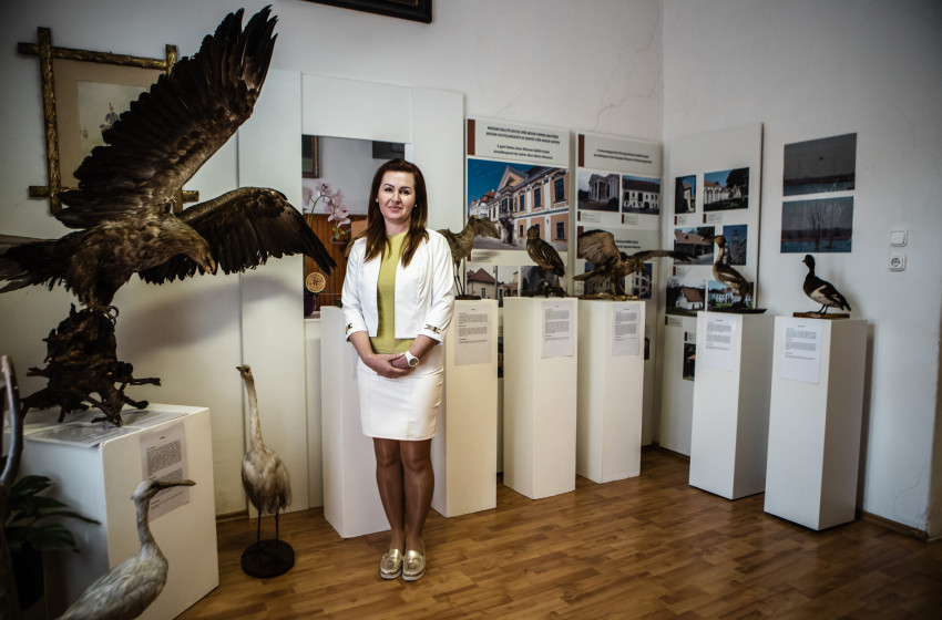 Vadon élő madarak testközelben