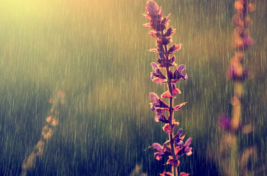 Szinte az egész országban eshet