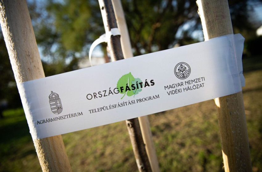 Év végére eléri az 56 ezret a Településfásítási Programban elültetett fák száma