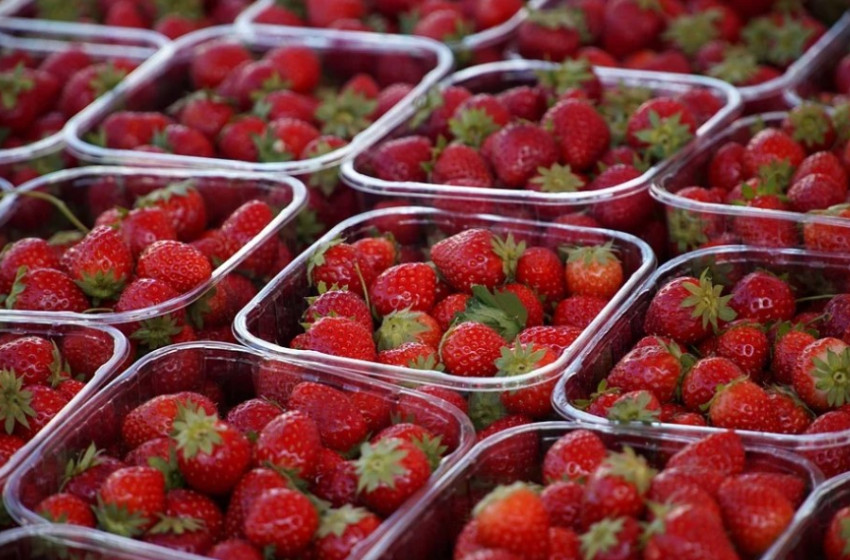 Töltsük fel a kamrát! 