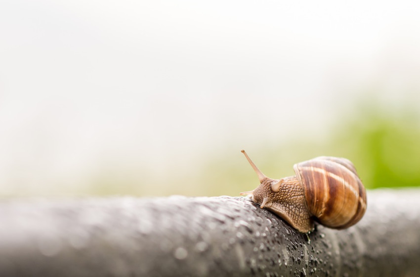 Jön a nem várt változás az időjárásban