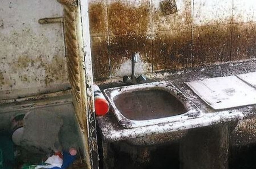 Unorító, embertelen körülmények közt élt 26 macskával a nő egy panellakásban, 11 állat elpusztult, mert nem adott nekik enni