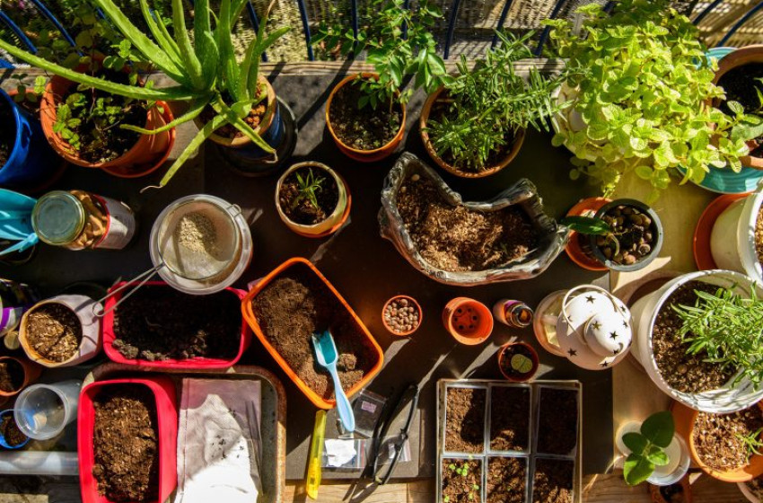 Unalmas az erkélyed? Így lehet belőle “édenkert”