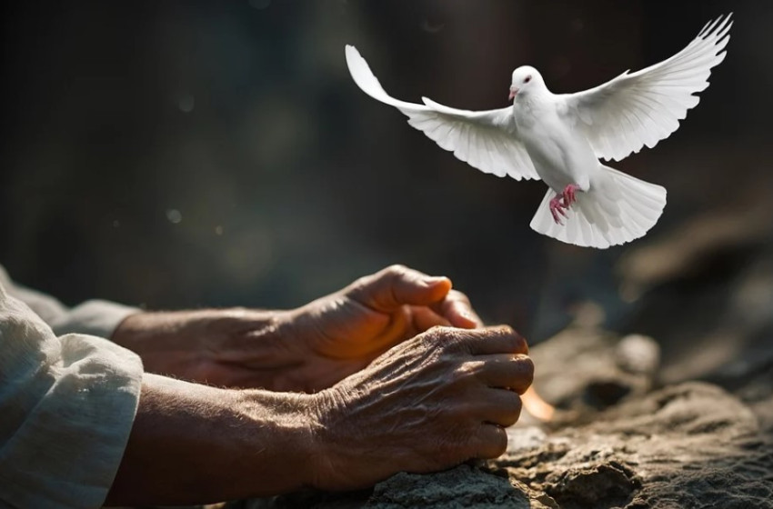 Pünkösdi nyitva tartás