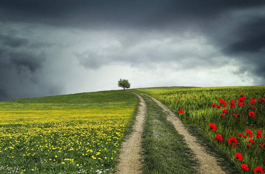 Nyári meleggel és sok napsütéssel indul a hét