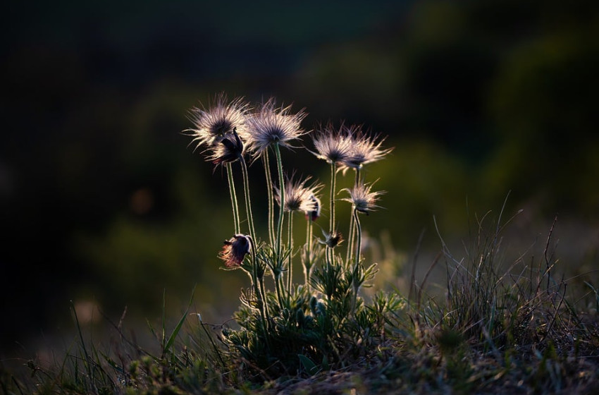 Ma is kiadták a veszélyjelzést a zivatarok miatt, az ország fele érintett 