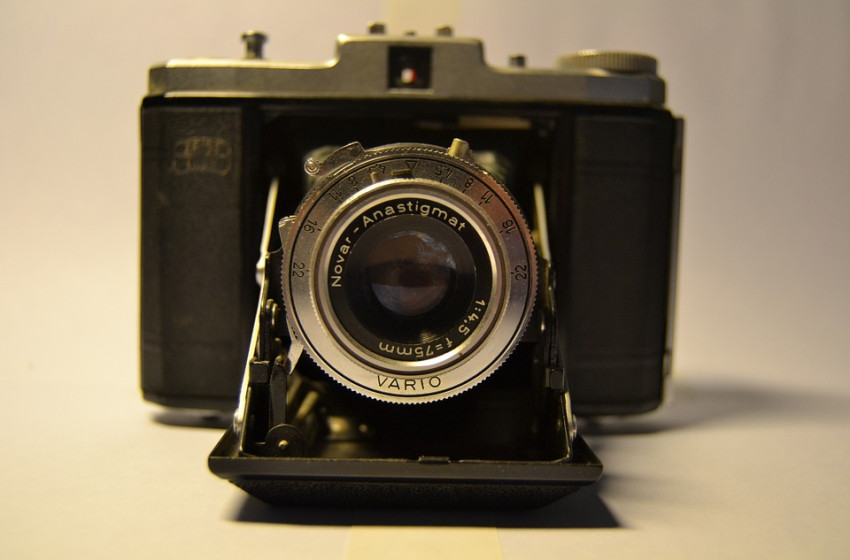 Állati pillanatok a Rábaközben