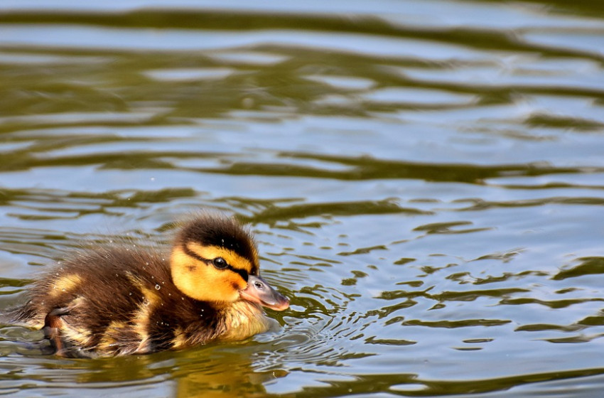 Itt a hétvégi időjárás-előrejelzés 