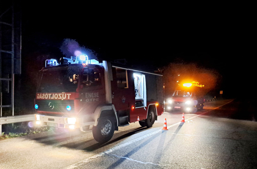 Vadat Gázoltak az M85-ösön