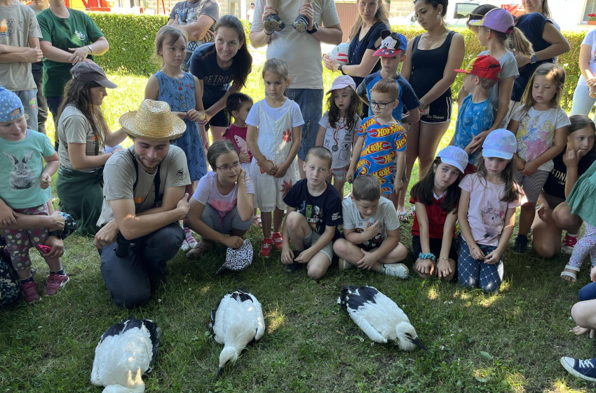 A gólyáké volt a főszerep Szanyban