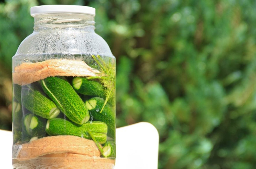 Így készül a tökéletes roppanós kovászos uborka