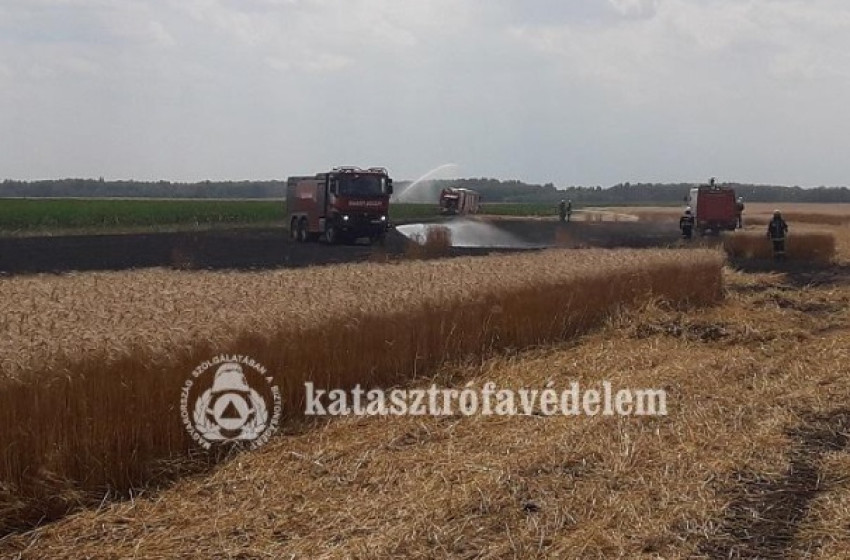 Megkezdődött az aratás