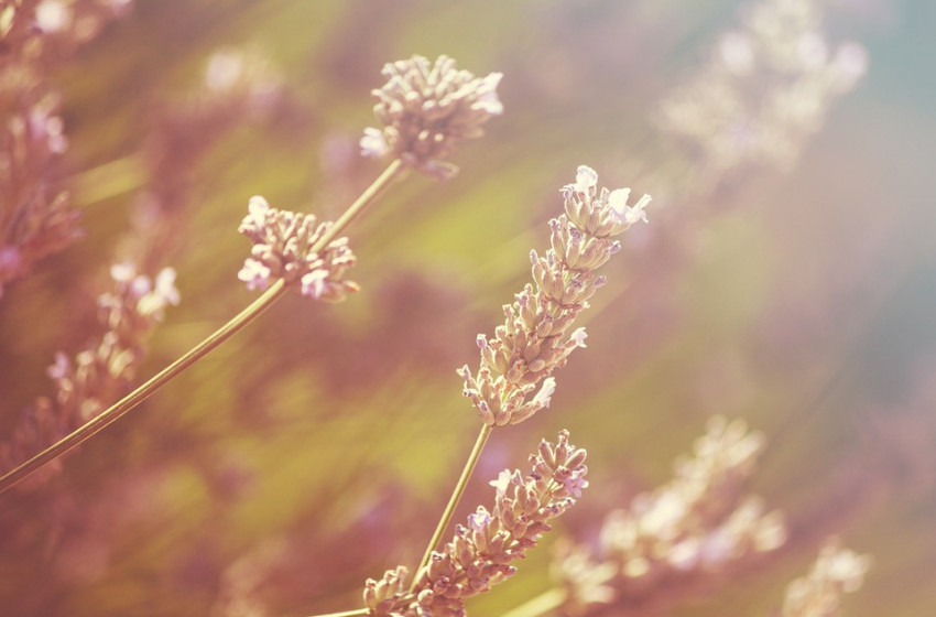 Kiadták a veszélyjelzést, tikkasztó hőséggel indul a hét