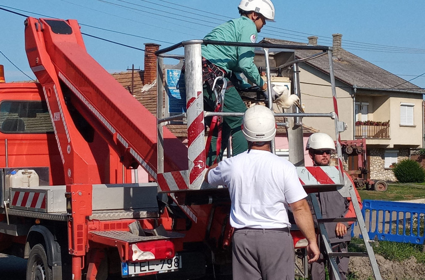 Gólyát mentettek Szanyban 