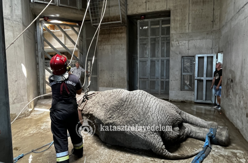 Évfordulós látogatás Pembénél
