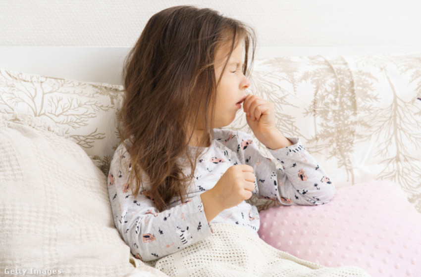 Rég elfeledett betegség robbant be, minden vármegyében megjelent a végzetes kór