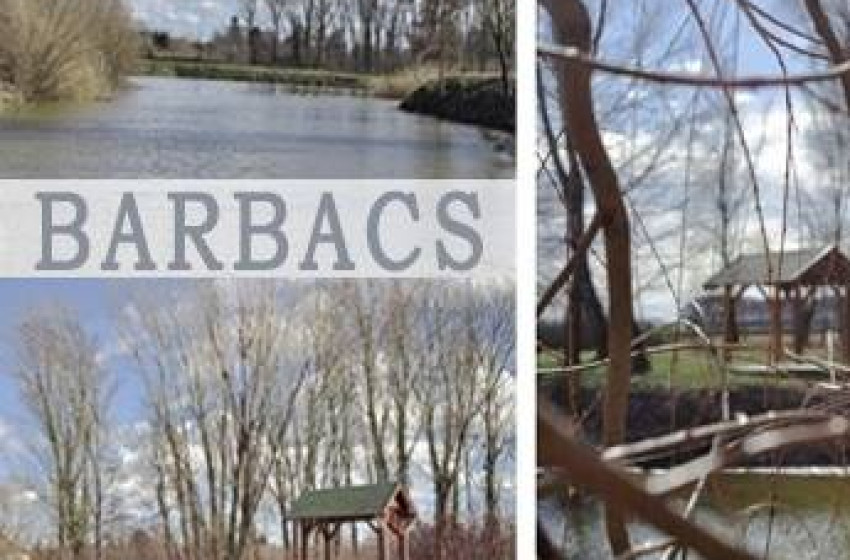 Falubusz Igénylése Barbacson