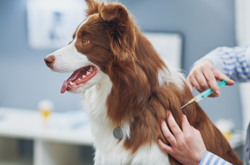 Eboltás lesz Csornán