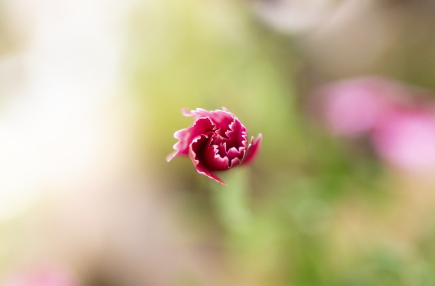 Marad a kánikula, 40 fok közelébe emelkedik a hőmérséklet