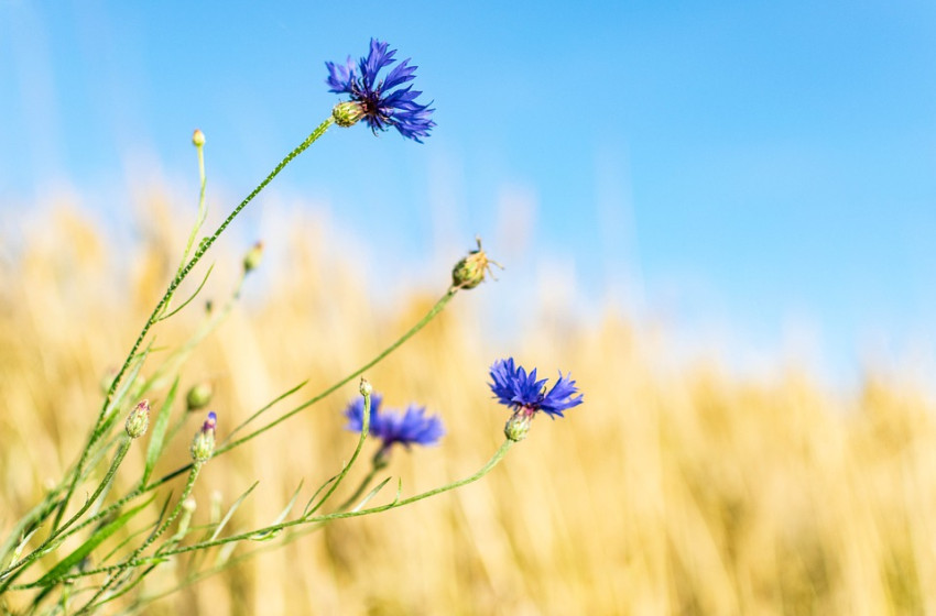 Az ország nagy részére kiadták a figyelmeztetést