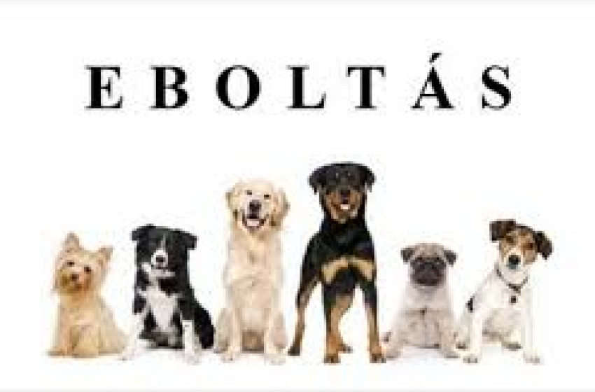 Eboltás Magyarkeresztúron