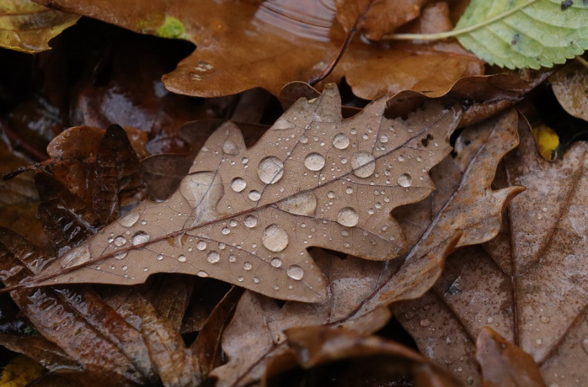 Vége a kánikulának, jön az eső, a zápor és a zivatar