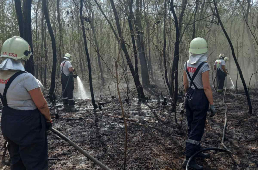 Enesei Önkéntes Tűzoltók hősies szerepe a Csönge és Kenyeri közötti erdőtűz oltásában