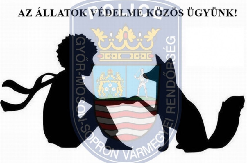  „Te egyszer s mindenkorra felelős lettél azért, amit megszelídítettél”