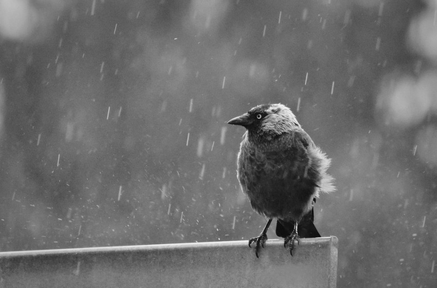 Ez vár ránk a hétvégén