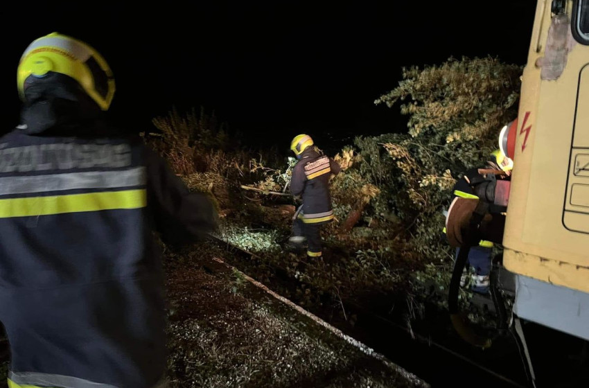 Kidőlt fákat távolítottak el a rábapordányi tűzoltók