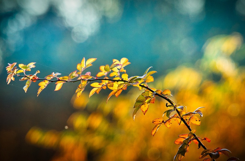 Nyárias meleg várható a hét első felében 