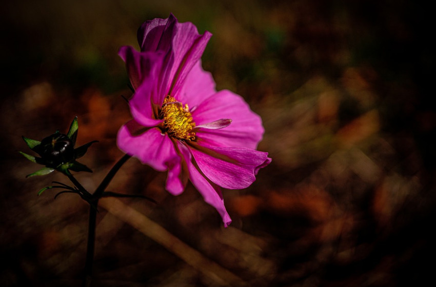 Több vármegyére is kiadták a figyelmeztetést