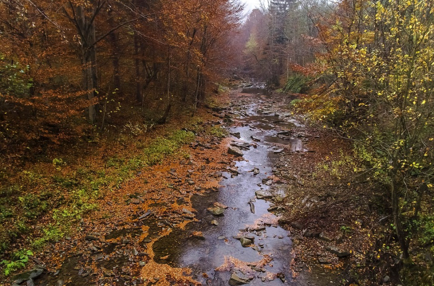 Szeszélyes őszi napokat jósolnak a meteorológusok