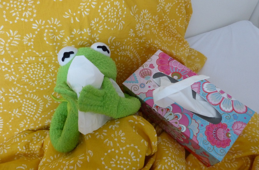 Inhalálás, húsleves, gyógynövényes tea – házi gyógymódok megfázásra