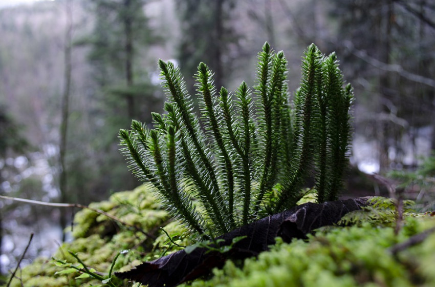 Durva fagy köszönt Magyarországra hétfőn