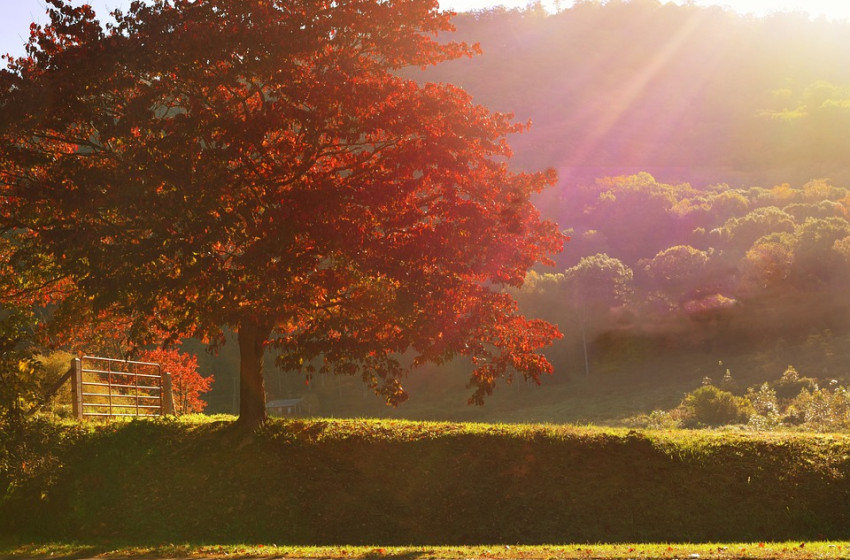 Mielőtt bedurvul az idő, még vár ránk egy kellemes nap