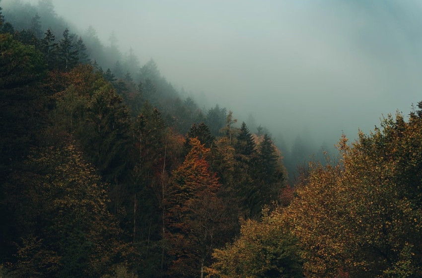 A hét leghidegebb napja lesz sok esővel, széllel 
