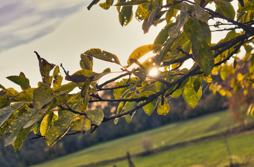A hét első napján megmutatja magát az októberi indián nyár