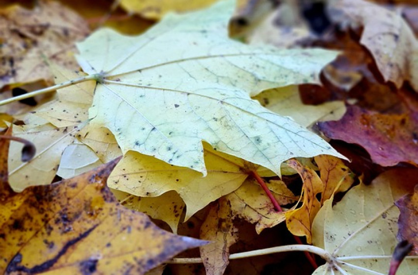 Napsütéssel indul a reggel, de délutánra lezúdul az eső