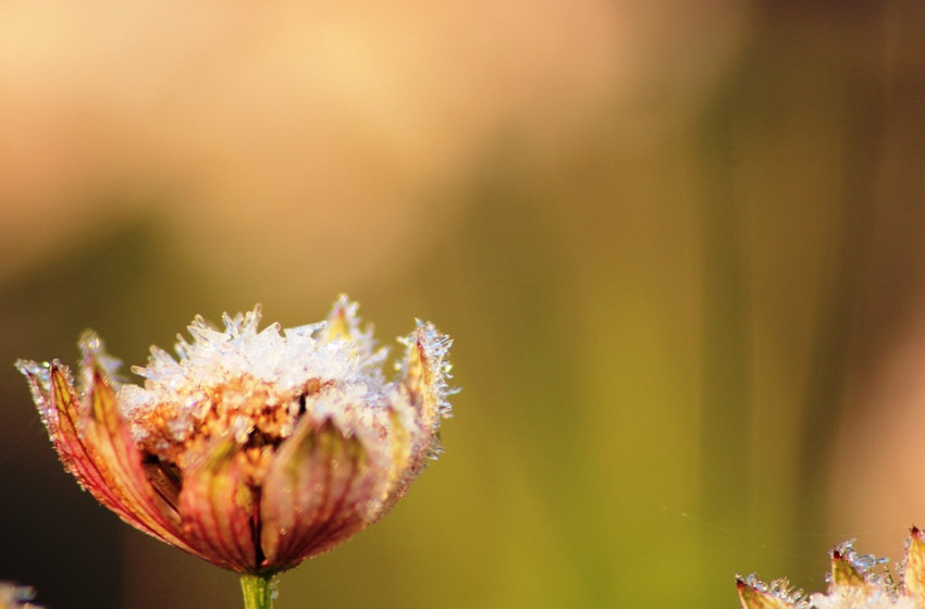 Viharos széllökések és zivatarok előzik meg a kellemes őszies hétvégénket